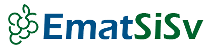 Logo EmatSiSv
